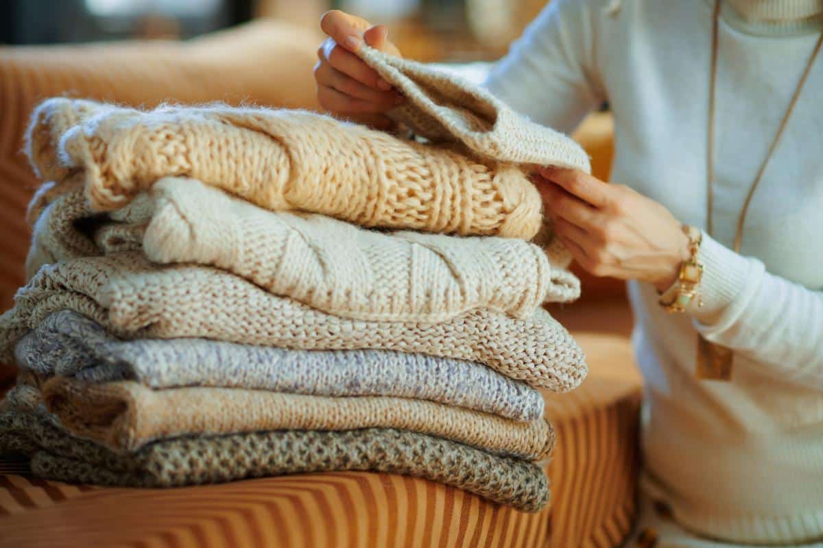 Kaip visam laikui atsikratyti pelėsių kvapo spintoje: geriausi metodai