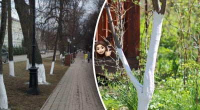 Kodėl pavasarį reikia balinti medžių kamienus: sodininkas įvardijo 4 priežastis