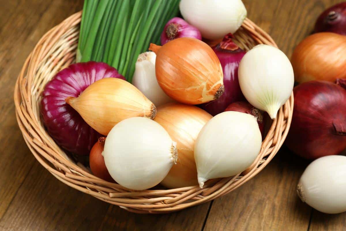 Kuo skiriasi raudonieji ir paprastieji svogūnai: gydytojas atskleidė, ką geriau