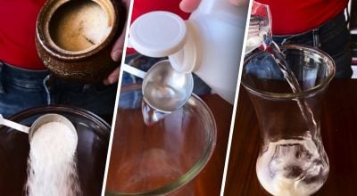 Vazoje esančios gėlės išliks šviežios daug kartų ilgiau: kokių 2