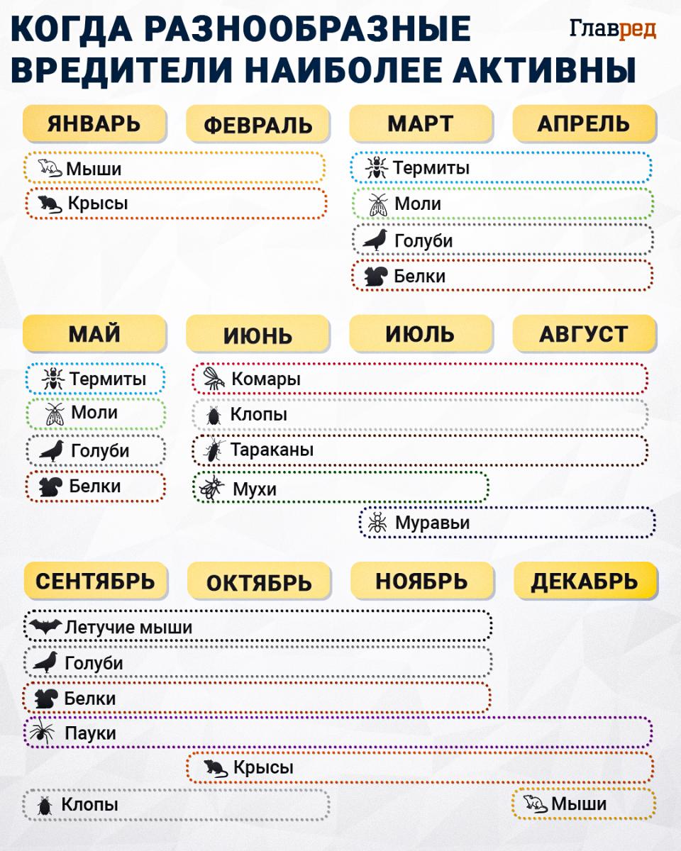 kenkėjų veikla, kenkėjų infografika