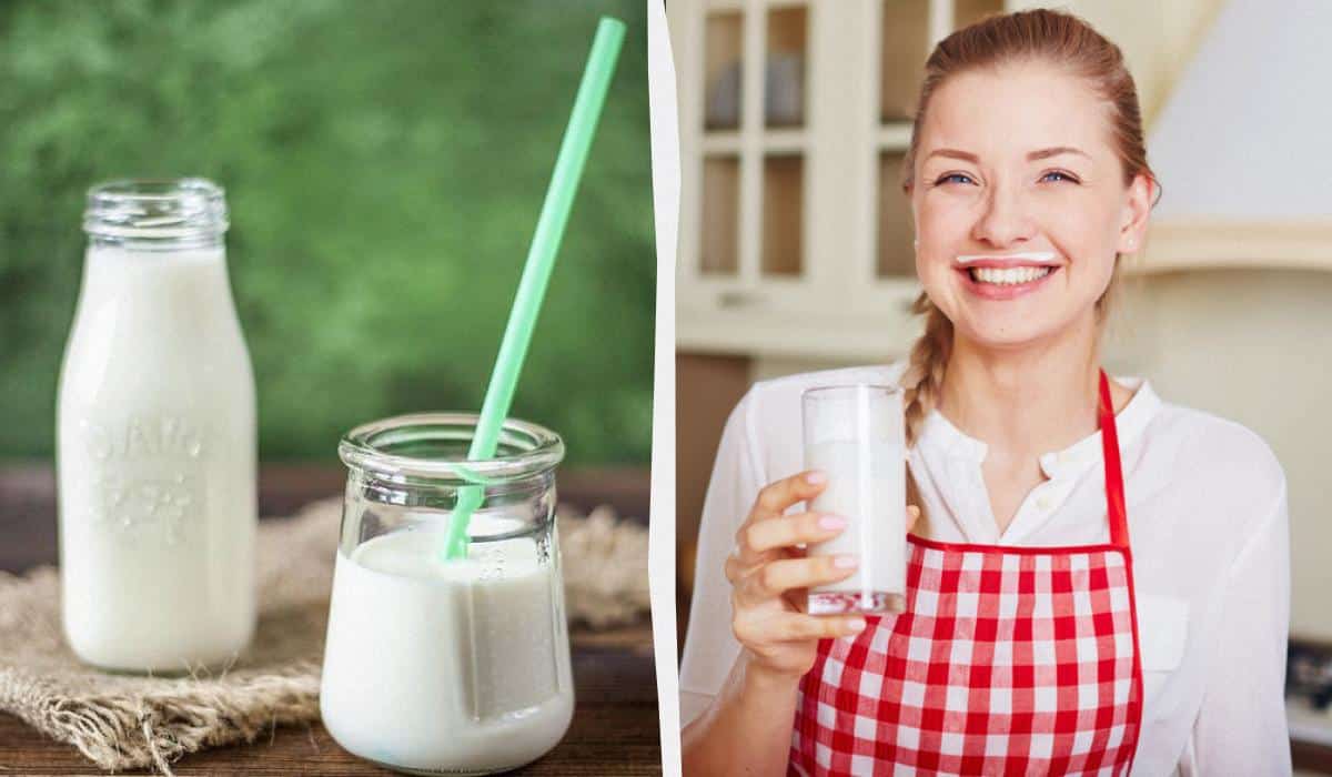 Kokia kefyro nauda organizmui: mokslininkai atrado netikėtą produkto savybę