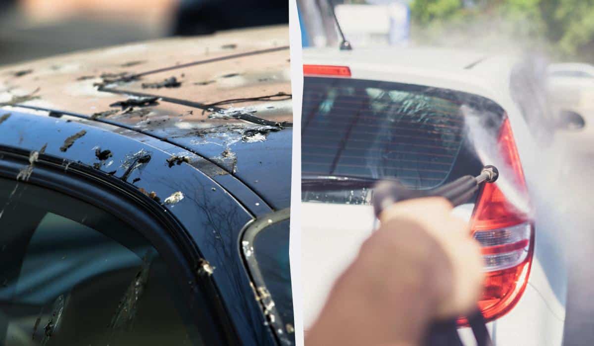 Paukščiai nebeskraido ant automobilių: štai ką reikia daryti