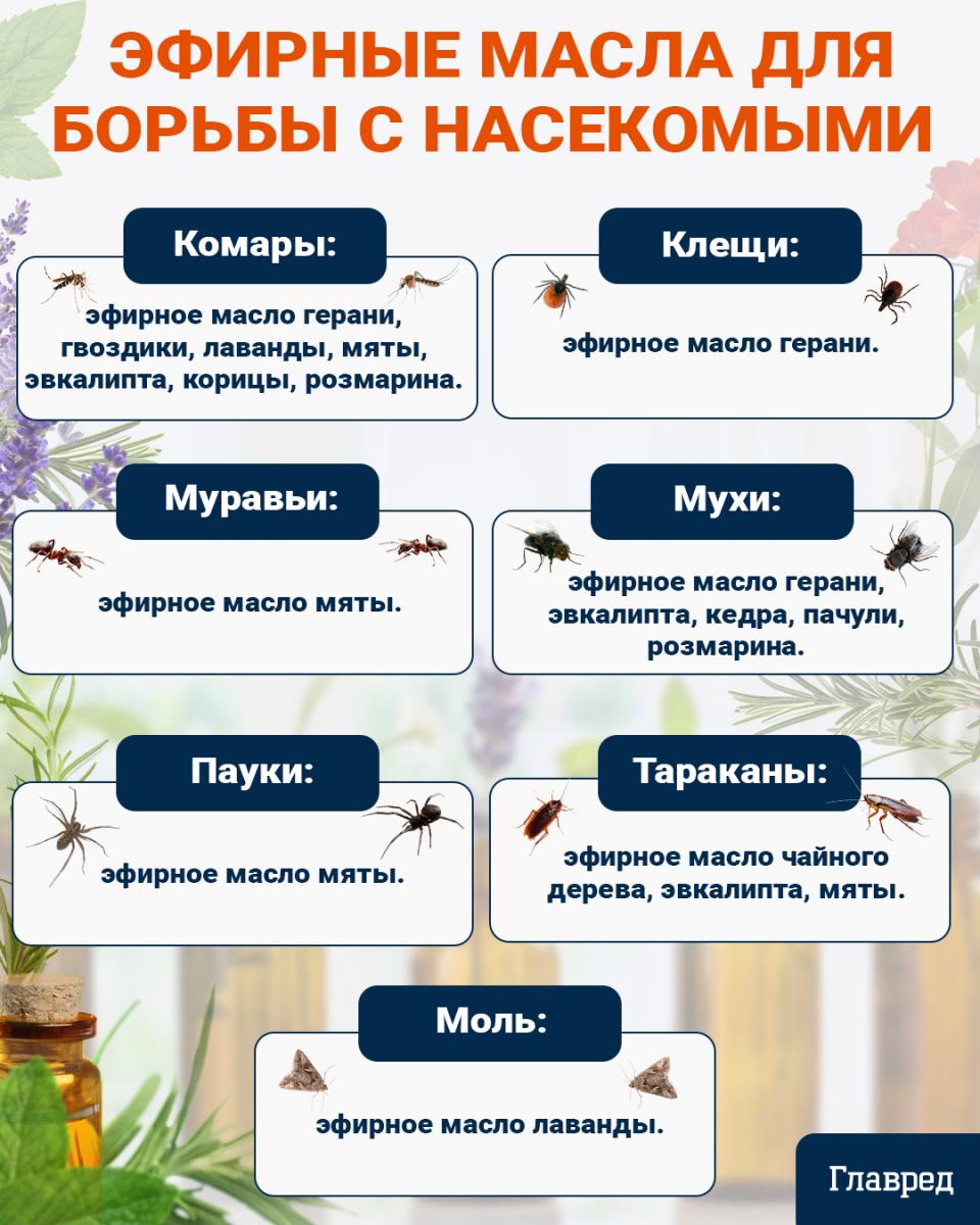Išliks švieži iki dvejų metų: kokį ingredientą dėti į ryžius