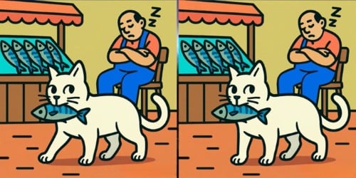 Mįslė