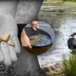 „Prasidėjo tikra aukso karštinė”: kur Ukrainoje yra didžiausi aukso telkiniai