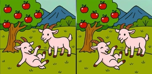 Mįslė