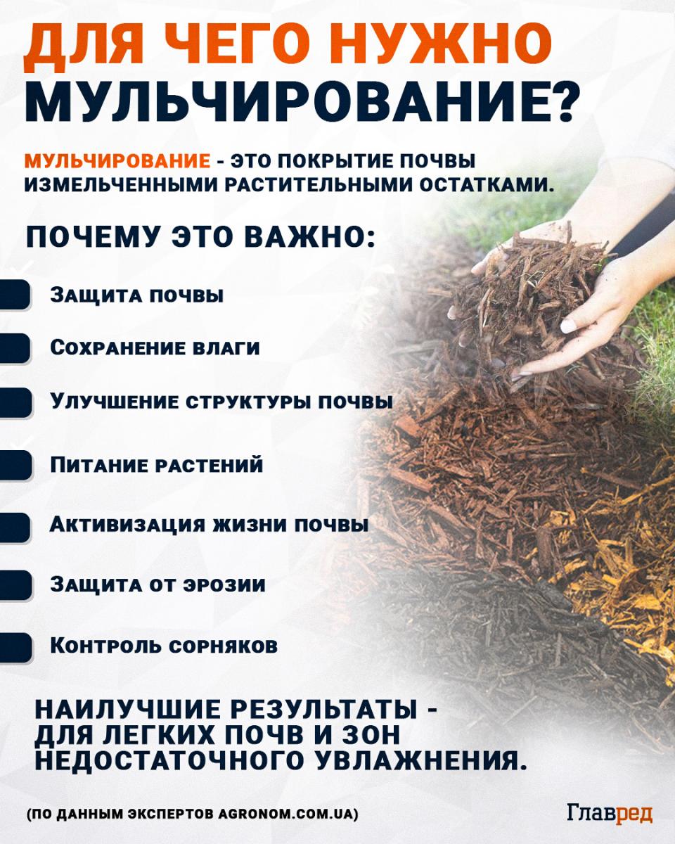Kam skirtas mulčiavimas