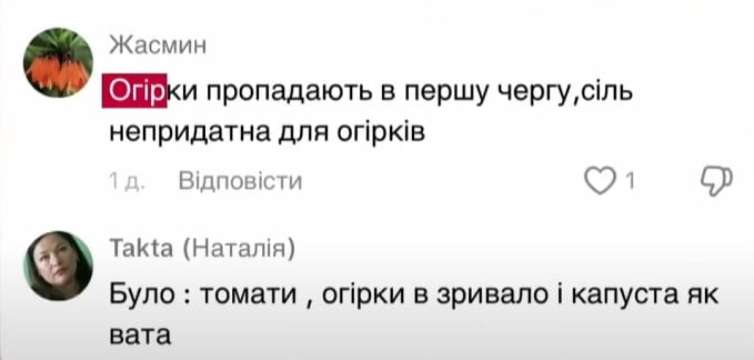 Ukrainoje pasirodė druska, kuri naikina sukinius - šeimininkės buvo įspėtos apie nisus