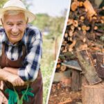 Kur dėti šakas po medžių genėjimo: patyrę sodininkai jų niekada