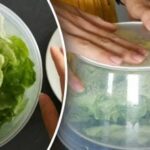 Salotų lapai ilgai išliks švieži: kaip juos laikyti šaldytuve