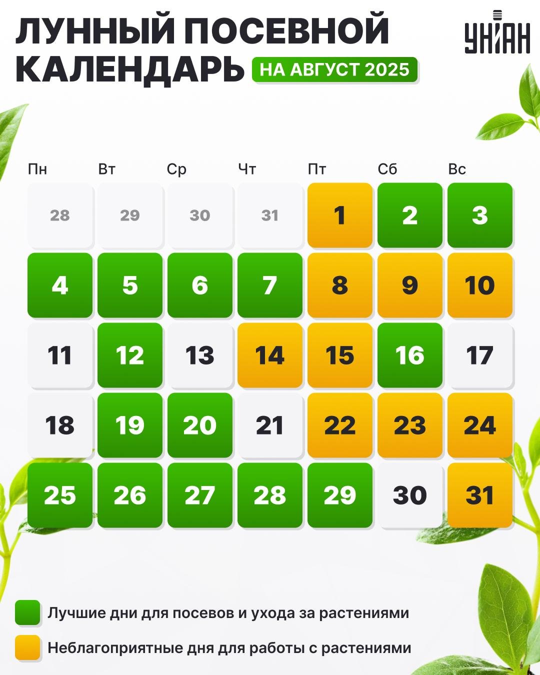 Mėnulio kalendorius liepos mėn.