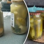 4 priežastys, kodėl sūrymas agurkuose yra drumstas: kaip išvengti šios