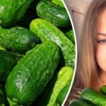 Agurkai ilgiau išliks švieži ir traškūs: išradingas būdas juos laikyti