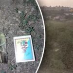 Kuo pavojingi Ukrainą puolantys skėriai: ką daryti užpuolus skėriams