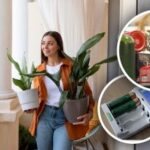 Netgi išsaugojimas kelia abejonių: ko visiškai negalima laikyti balkone