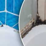 Pelėsis ant siūlių išgaruoja be pėdsakų: atskleistas paprastas ir veiksmingas
