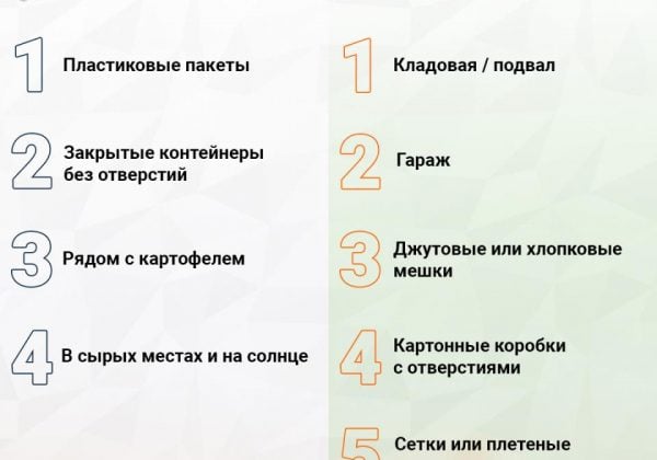 Kur galima ir kur negalima laikyti svogūnus