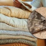 Kartą ir visiems laikams išnyks kandys: viena natūrali priemonė gali