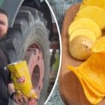 Ne tik bulvės – iš ko iš tikrųjų gaminami traškučiai
