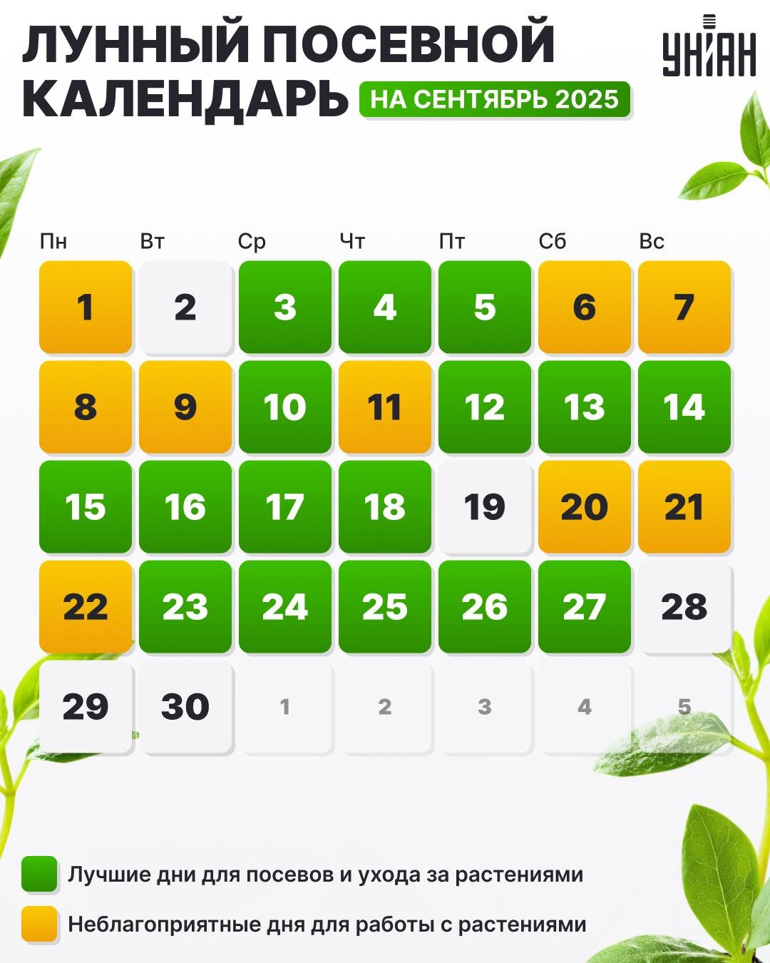 Sėjos kalendorius
