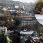 Jo išvaizda nėra atsitiktinė: retas paukštis buvo pastebėtas viename iš